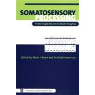 Somatosensory Processing: From Single Neuron to Brain Imaging