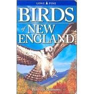 Birds of New England