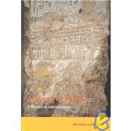Ancient Egyptian : A Linguistic Introduction