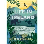 Life in Ireland A Short History of a Long Time