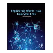 Engineering Neural Tissue from Stem Cells