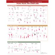 Travell, Simons & Simons’ Trigger Point Pain Patterns Wall Chart Trunk, Pelvis, and Lower Limb