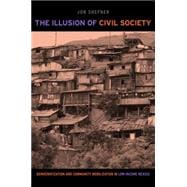 The Illusion of Civil Society