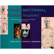 Cross-Sectional Human Anatomy