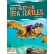 Saving Green Sea Turtles