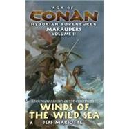 Age of Conan: Winds of the Wild Sea