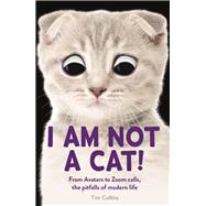 I Am Not a Cat! From Avatars to Zoom Calls, the Pitfalls of Modern Life