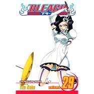 Bleach, Vol. 29