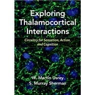 Exploring Thalamocortical Interactions Circuitry for Sensation, Action, and Cognition