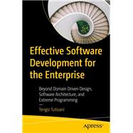 Effective Software Development for the Enterprise