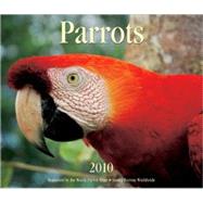 Parrots 2010 Calendar