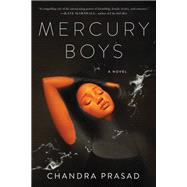 Mercury Boys book cover, ISBN 9781641293877