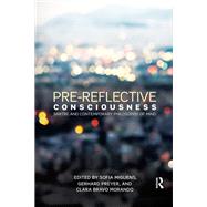 Pre-reflective Consciousness