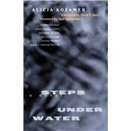 Steps Under Water