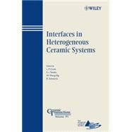 Interfaces in Heterogeneous Ceramic Systems
