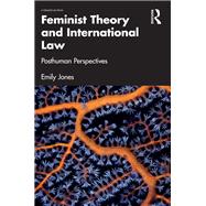Feminist Theory and International Law