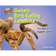 Goliath Bird-Eating Tarantula