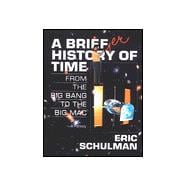 Briefer History of Time : From the Big Bang to the Big Mac