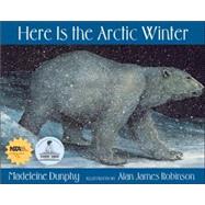Here Is the Arctic Winter