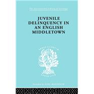 Juvenile Delinquency in an English Middle Town