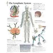 The Lymphatic System chart Wall Chart