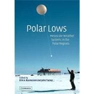 Polar Lows: Mesoscale Weather Systems in the Polar Regions