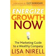 Energize Growth Now The Marketing Guide to a Wealthy Company