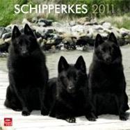 Schipperkes 2011 Calendar