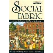 Social Fabric Vol. 2 : American Life from the Civil War to the Present