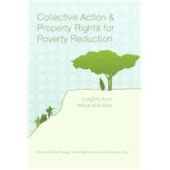 Collective Action and Property Rights for Poverty Reduction