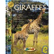 Amble Through the Expansive Grasslands of Giraffes