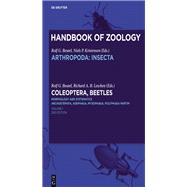 Coleoptera, Beetles. Morphology and Systematics