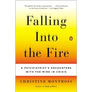 Falling Into the Fire A Psychiatrist's Encounters with the Mind in Crisis