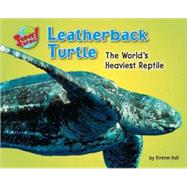 Leatherback Turtle