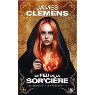 Les Bannis et les Proscrits, T1 : Le Feu de la Sor'cière