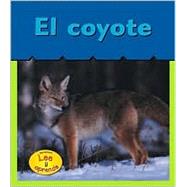El Coyote / Coyote