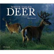 White-tailed Deer Deluxe 2005 Calendar