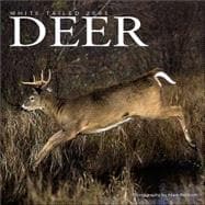 White-tailed Deer 2005 Calendar