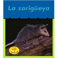 LA Zarigueya / Opossums