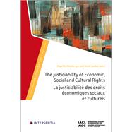 The Justiciability of Economic, Social and Cultural Rights