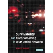 Survivability and Traffic Grooming in WDM Optical Networks