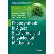 Photosynthesis in Algae