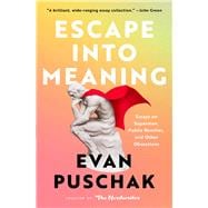 Escape into Meaning Essays on Superman, Public Benches, and Other Obsessions