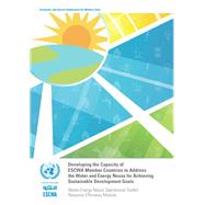 Developing the Capacity of ESCWA Member Countries to Address the Water and Energy Nexus for Achieving Sustainable Development Goals Water-Energy Nexus Operational Toolkit Resource Efficiency Module