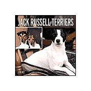Jack Russell Terriers 2002 Calendar