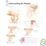 Understanding the Prostate Wall Chart