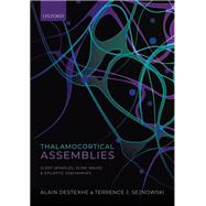 Thalamocortical Assemblies
