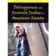 Delinquency And Juvenile Justice in American Society