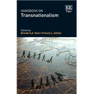 Handbook on Transnationalism