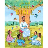 The Lion Story Bible